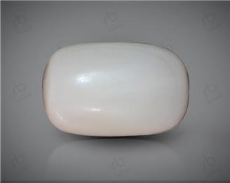 Natural White Coral ( Safed Mooga) Certified 14.63 CTS. ( 91500 )